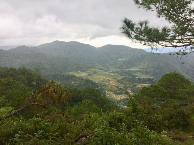 mt. fato maligcong rice terraces view from trail.jpg
