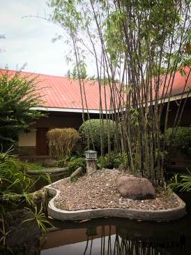 Zen inspired garden